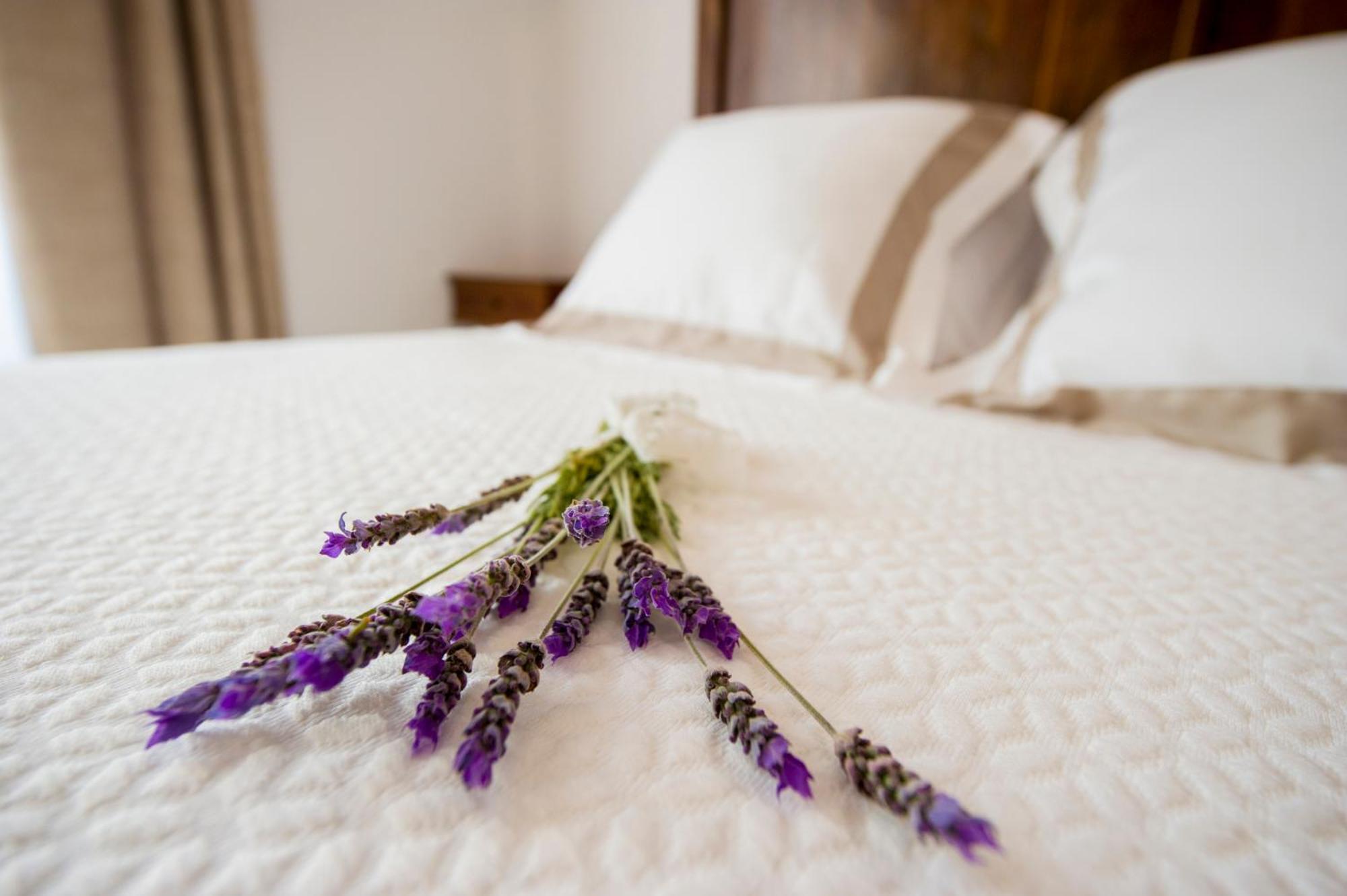 Bed and Breakfast Bolet Casa Modernista Castellvi de la Marca Экстерьер фото